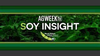 Soy Insight