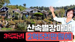 3억짜리 2억5천만원에 산속별장 매매