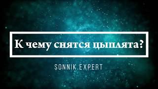К чему снятся цыплята - Онлайн Сонник Эксперт
