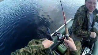 Рыбалка на троллинг (о. Селигер , р Сележаровка Ч1 )Fishing on the trolling fishing on the track