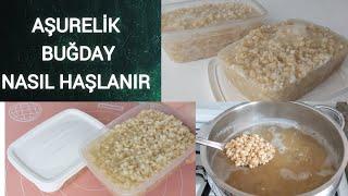 AŞURELIK BUĞDAY (YARMA) NASIL HAŞLANIR? en Pratik Yöntemiyle Mutlaka İzleyin