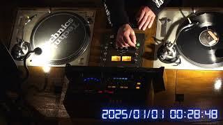 Count down party House Mix DJ Live, Vinyl only by  Rotary Mixer (CDS)