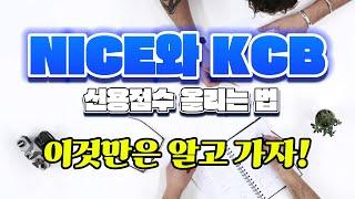 NICE와 KCB 신용점수 올리는 방법과 신용점수 차이나는 이유까지 알아보자!