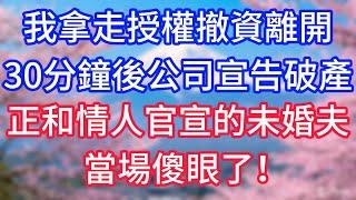 【情感故事】我拿走授權撤資離開，30分鐘後公司宣告破產，正在和情人官宣喜訊的未婚夫，當場傻眼了！#故事 #人生哲理