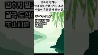 공자가 전하는 인내심에 관한 3가지 조언 – 마음이 흔들릴 때 보는 말 #명언 #좋은글 #지혜