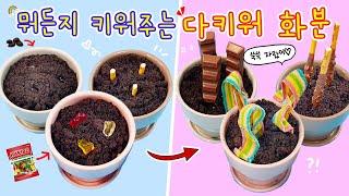 Strange Role Play :) Plant and Grow Everything with "Grow Everything Flowerpot"