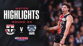 St Kilda v Geelong Highlights | Round 23, 2024 | AFL