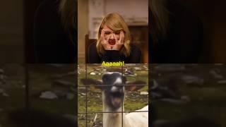 It’s so nice that she laughs at a meme about her #taylorswift #taylorswiftedit