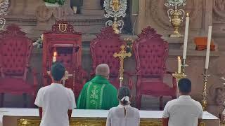 Domingo XXXII del Tiempo Ordinario - Sr. Cura J. Jesús Rosillo Arroyo