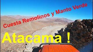 Excursion to the Atacama Desert: Cuesta Remolinos and the Manto Verde mine.