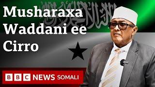 Qorshayaasha iyo Aragtiyaha Siyaasadeed ee Musharraxa Madaxweyne ee Waddani | Cabdiraxman  Cirro