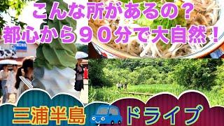 【初夏の三浦半島】絶対に行きたい！恋人とドライブするならこのコース！