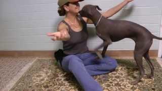 Hairless Dog doing Tricks