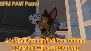 SFM PAW Patrol | Marshall slipped by a banana (wipeout moment)