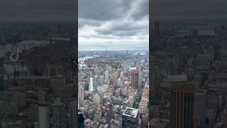 CONCRETE JUNGLE #travel  #4you #viral #4you #shorts #shortvideo #youtube #trend #shortsfeed #yt