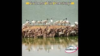 Best places to see in Porbandar || GetMeCab|| Book your Cab #carrental #travelpackage