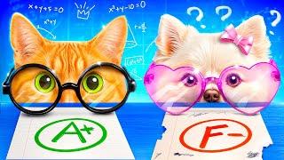 How to Take Care of Your Pet! Nerd vs Popular!