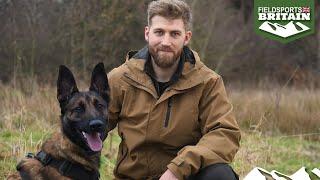 More than a working dog: the Malinois