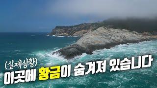 [어디:GO-금오도] 국내에 실존하는 보물섬을 아시나요? 그 어마어마한 보물을 아직도 못 찾았답니다