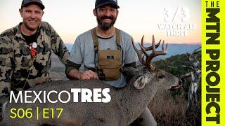 Two Big Little Deer - Caza Sonora - S06E17 - The Mountain Project