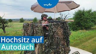 Jäger baut sich Hochsitz auf sein Autodach | MDR um 4 | MDR