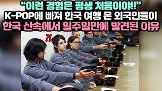 K-POP에 빠져 한국 여행 온 외국인들이 한국 산속에서 일주일 만에 발견된 이유