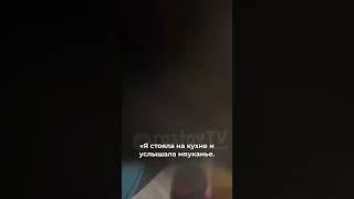 Удивительная история ростовского котенка. #новости #ростов #животные #кот #ветеринар #ростовнадону