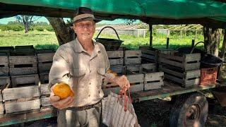 ¡Con casi 80 AÑOS siembra, cosecha y sale a la RUTA a VENDER! | Lo acompaña su PERRITA | Corrientes