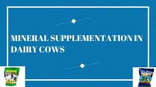 MINERAL SUPPLEMENTATION IN DAIRY COWS