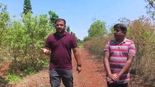 Farm visit at Kanakpur’s @DARVI GROUP #farming #agriculture #sandalwood