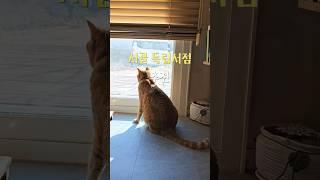 강화도 볼거리 드라이브 여행코스 책방시점