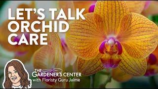 Let's Talk Orchid Care  Floristry Guru Jaime at The Gardener's Center