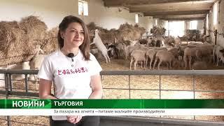 Централна емисия новини на АГРО ТВ – 17.04.2024 г.