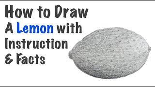 How to Draw a Lemon | full tutorial with facts