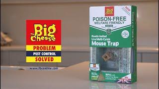 (Live Catch and Release) Ready-Baited Live Multi-Catch Mouse Trap