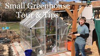 Small Greenhouse Tour & Tips