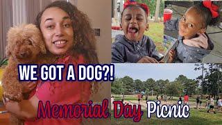 WE GOT A DOG?! | Mom Vlog | Memorial Day Picnic | SlayAtHomeMom