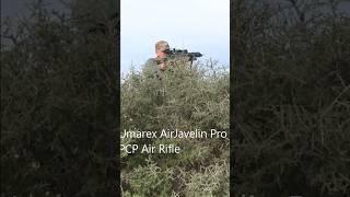 AirJavelin Airgun Arrow for small game hunting