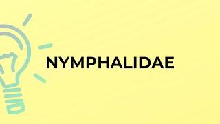 What is the meaning of the word NYMPHALIDAE?