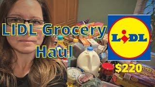 Lidl Grocery Haul | What to buy at Lidl | Lidl Weekly Family Grocery Haul | Food Shop on a Budget