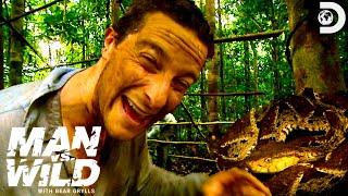 Bear Grylls Makes Shelter to Keep Out Snakes and Mosquitos | Man vs. Wild