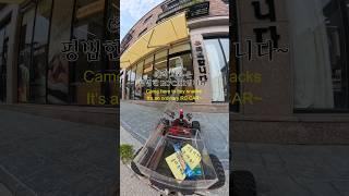 진돌아 간식 먹자(Jindol, let’s have a snack)1탄