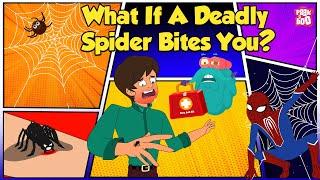 How Does Spider Bite? | World's Deadliest Spiders | Most Venomous Spider | The Dr. Binocs Show