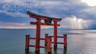 Incredible Torii Gates of Japan | Japan Adventure Travel Documentary