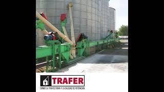 TRAFER mecanización de Plantas Silos con transportadores a cadena