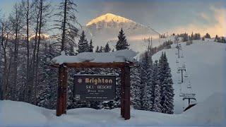 MICRODOSE | Brighton Resort | Episode 1