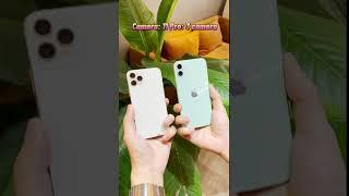 Nên chọn 11 mới hay 11 pro ??? #shorts #iphone #phucbo