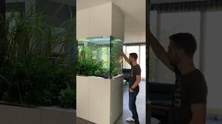 2800 liter planted aquarium maintenance  🫧