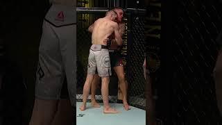 Dan Hooker vs Dustin Poirier was made for NO COMMENTARY  #nocommentary