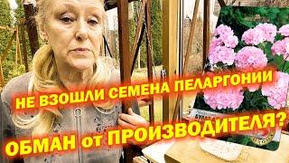 Качество семян или недостаток знаний? Секрет 100% всхожести.